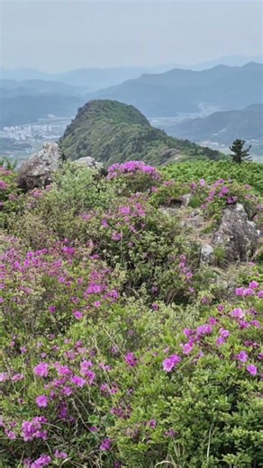 일명 샌드위치 산, 사자산 정상 풍경# 제암 사자 일림 철쭉 능선 종주, 제암산 휴양림 원점회귀 총 8시간 (제암산 정상 제외)