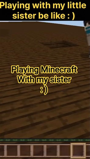 Playing Minecraft with my little sister be like ....