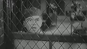 Good News (1930) Bessie Love, Mary Lawlor, Cliff Edwards, Stanley Smith, Lola Lane, Gus Shy