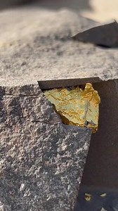 Find Gold #AI #goldhunting #findinggold #findgold #usareels | Find Gold