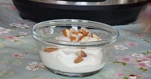 Low Carb Yogurt - Instant Pot Cold Start™ Method