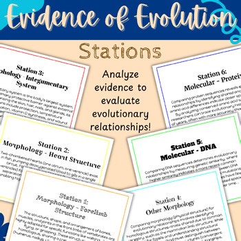 Evidence of Evolution Detectives | Evolution and Classification Stations for Bio