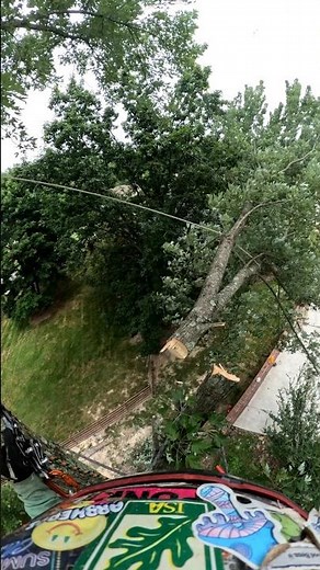 That Feeling When the Limb Swings Just Right