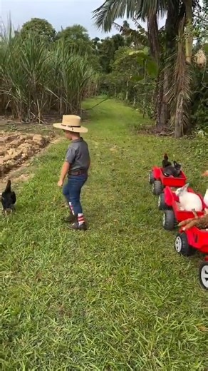 9.8K views · 180 reactions | All aboard! School is in session and many students are taking the bus to & from school. The greatest risk to a child isn’t riding a school bus, but approaching or leaving one. That’s why, as a driver, it is important to be alert for buses and watch for students near bus stops. | Virginia Department of Transportation | Facebook