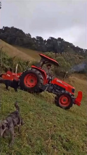 Plenty of safer jobs to do today 🤣 | Jen Lewis