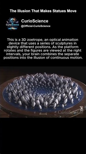 The illusion that makes Statues Move! 🐧