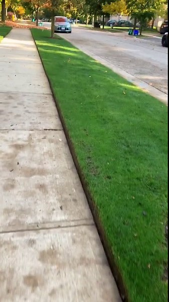 From Patchy to Perfect: Pro Tips to Transform Your Lawn