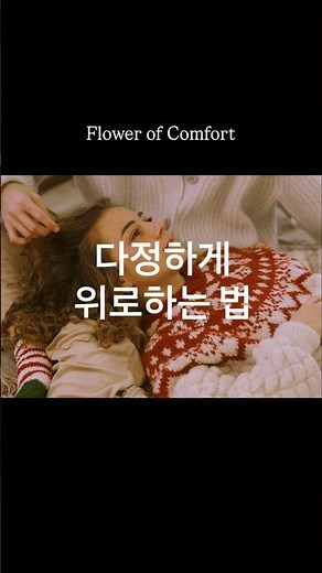 다정하게 위로하는 법 / 위로의 꽃말을 가진 꽃 5가지 추천해요🩷 #꽃집 #꽃선물 #플로리스트 #꽃말 #위로