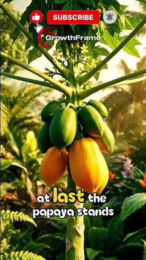 Papaya Growth Timelapse — From Seed to Ripe Tropical Fruit | Cinematic Nature Short