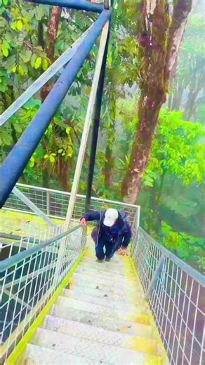 @ Escalando la torre de observacion de aves !!🇪🇨❤️ #atractivoturistico #milindoecuador #turismo