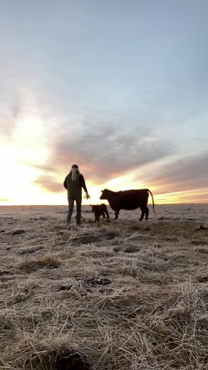 Morning by morning he wakens me and opens my understanding to his will. (Isaiah 50:4) #agtalkwithalex #rancher #ranchlife #missouri #cowboychurch