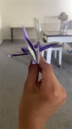￼￼ Diamond ￼back flight test