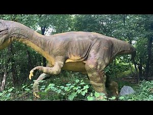 Field station dinosaurs leonia NJ
