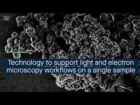 Combining the CryoCapsule, HPM Live µ and R221 resin from live imaging to electron microscopy