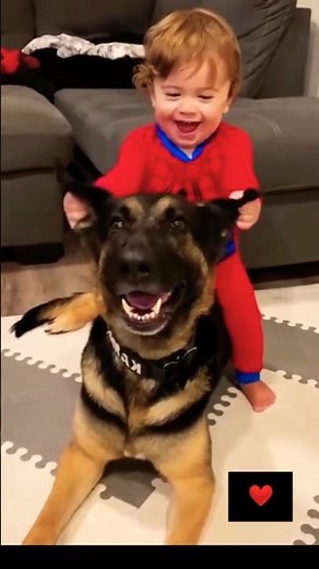 Dogs Playing With Kids 😂🐶💕 The Cutest Friendship!