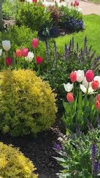 Same plant… a hundred different looks! 🌞