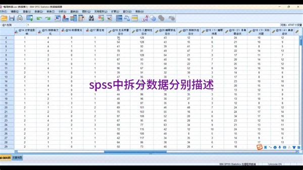 spss如何拆分变量进行分别描述