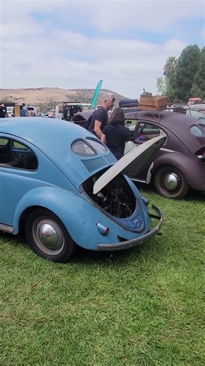 Is there enough Rare Split Window VW Beetles in this Short?
