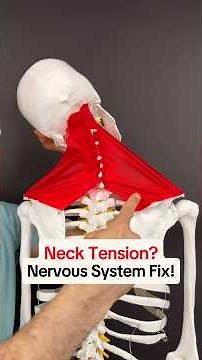 Neck Tension? Nervous System Fix!