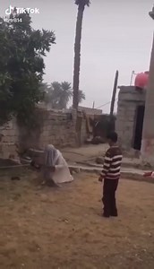 11K views · 199 reactions | Fish Bowl on Reels | Facebook