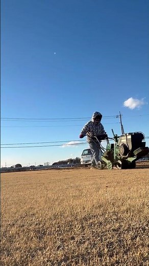 本日は高麗芝出荷作業！寒いのは仕方ない！けど 爆風はキツイ‼️#日本一の芝生の産地つくば #技能実習生