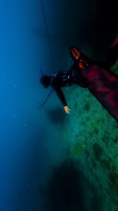 BTS 🤍 #nz #fy #diving | Jarmell hunter - Mako Waters