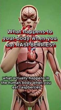Raspberries: What happens to your body when you eat raspberries? Benefits and possible risks