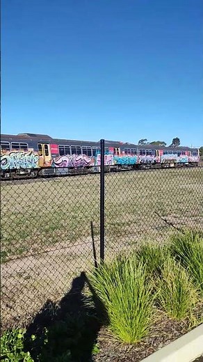 Abandoned EMU18 and EMU27 trains in Redbank, 04.07.2025 #emu #queenslandrail #train #brisbane