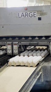 138K views · 5.2K reactions | Kaon ka itlog gusto mo? Ma tour ta sa Ta-ala Farms, Inc. para mabal-an nyo kun paano gina produce ang ila mga ka itlogan. #kalinti #kalintalks https://www.facebook.com/KalinTalks-484587961720902/ | Kalinti by TBON | Facebook