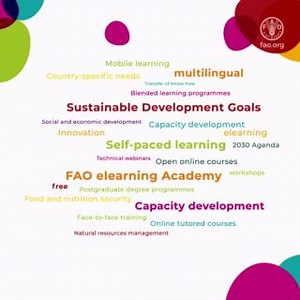 🌍📚 Enhance your skills with free, multilingual #Elearning courses! From food and nutrition security to sustainable management of natural resources, the FAO eLearning Academy is your gateway to over 600 courses! 🔗 https://ow.ly/cQjZ50UfGgF | Food and Agriculture Organization of the United Nations (FAO)
