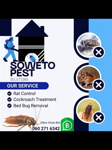 🪳⭐💯No.1 Cockroach Fumigation Solutions. Cockroach Fumigation, Products, Maintenance plan and more. ⬇️🪳⬇️🪳⬇️🪳⬇️🪳⬇️🪳 https://docs.google.com/forms/d/e/1FAIpQLScRQUvmbcvGHXhg36XBUHGPK5HP_88PJYi0OdGC31k5J2zVaQ/viewform?usp=pp_url