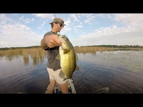 early fall thick marsh frog fishing