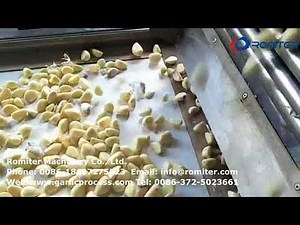 Machine à éplucher automatique à l'ail