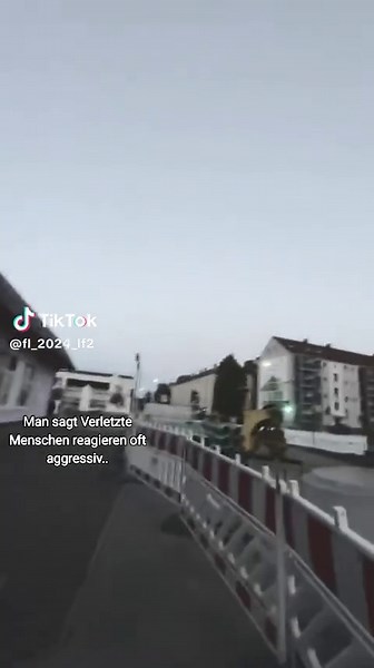 Understanding Aggressive Reactions in Wounded Individuals