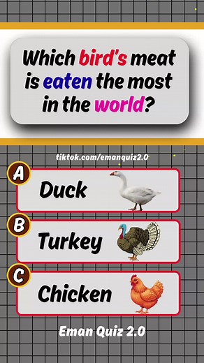 Birds Quiz: Test Your General Knowledge Skills