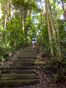 Bukit Timah Nature Reserve - Alchetron, the free social encyclopedia