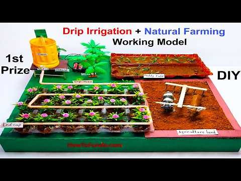 drip irrigation working model for science project | agriculture model DIY at home easily| howtofunda