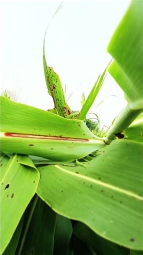 What's the MOST AMAZING thing happening RIGHT NOW?