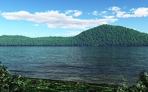 VUE 基础入门到进阶教程