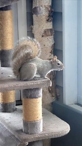 1.3K views · 1.8K reactions | This was the first time in Cole's...