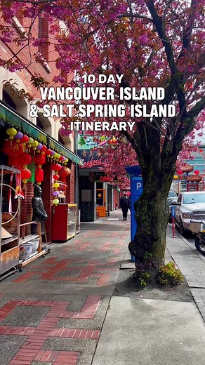 Ultimate 10-Day Vancouver Island Road Trip Itinerary