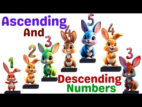 🌟Learn Ascending & Descending Numbers + Basic Addition with Fun Props & Animation! | Basic Math 🌟
