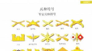 美军部分兵种符号和兵种色大赏