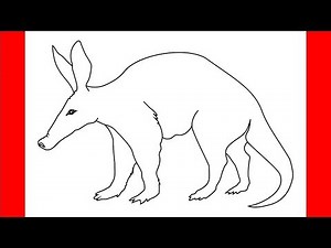 How to draw Aardvark - Step by Step Drawing