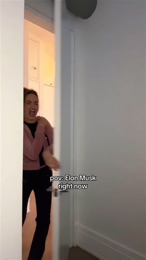 238K views · 207K reactions | what is happening | Haley Kalil | Facebook