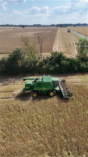 JOHN DEERE T550 beim Dinkel dreschen