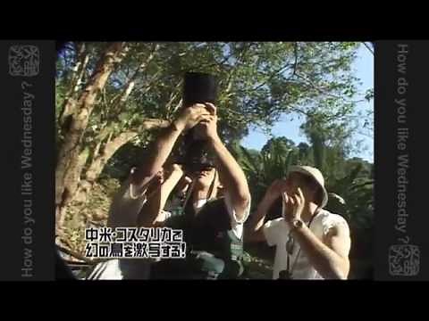 【公式】水曜どうでしょうDVD第22弾「中米・コスタリカで幻の鳥を激写する！/前枠・後枠 傑作選」の見どころ