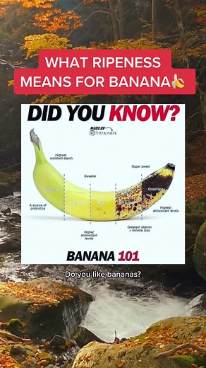 Understanding the 7 Stages of Banana Ripening 🍌