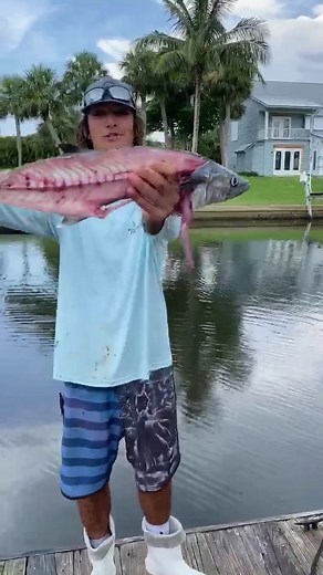 Got emmm #gaff #gaffing #catfish #RockinCollege #WhatsYourPower #fyp #fypシ #foryou #xyzbca #fishing #xyscba