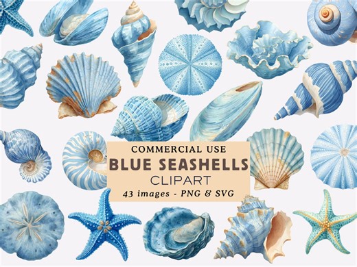 Blue Seashell Clipart Bundle Blue Ocean Shells Illustrations Under the Sea Graphics Coastal Seashells PNG Collections Commercial Use - Etsy